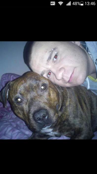 mateusz tomsia (rusolini)