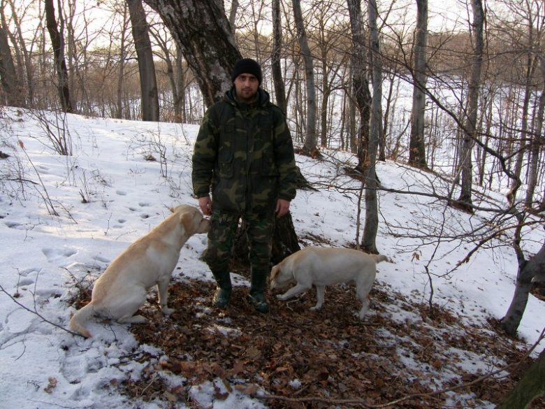 Adam Dziurok (Sashaa), Wodzisław Śl