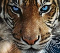 Grzegorz Nadobny (GrzegorzNadobny)