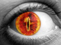 Piotr Domowicz (PiotrDomowicz)