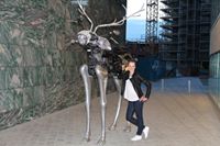 Angelika Zielinska (Zieli)