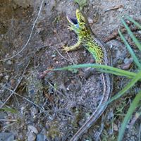 Dariusz Bartwiński (DariuszBartwinski)