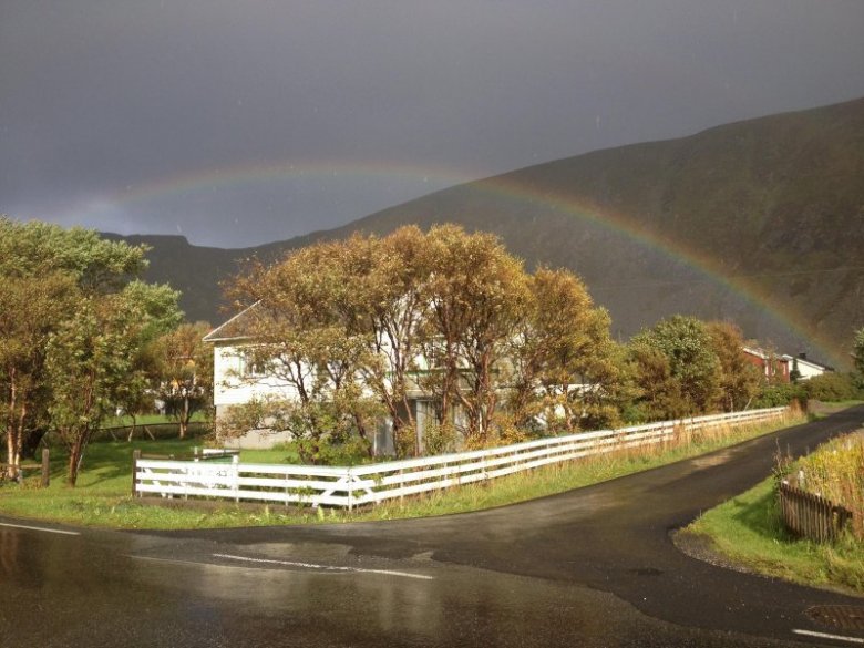 kamil korek (driveroperator)