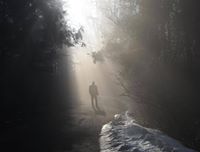 Ryszard Trzaska (RyszardTrzaska)