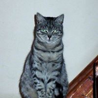 Piotruś Kujawiec (piotkujawa)