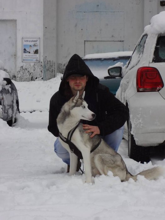 Daniel Dz (TheWitcher)