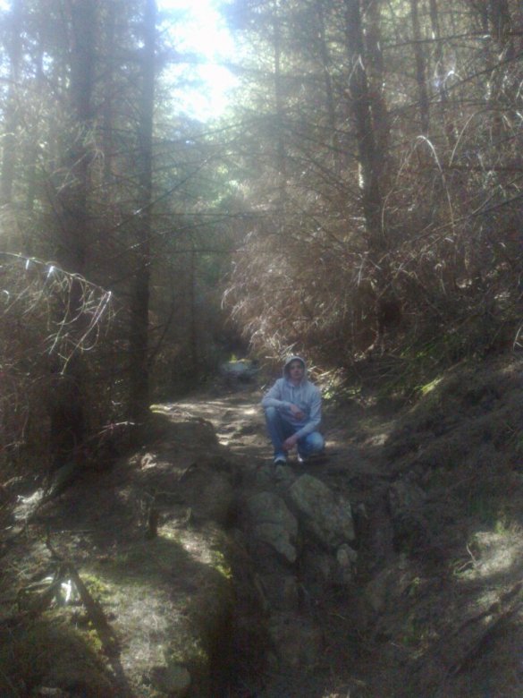 Roman Pięta (pietaroman), Hareid, Sędziszów Małopolski