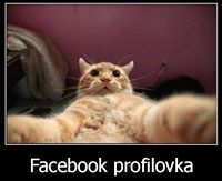 Mateusz Siabada (MateuszSiabada)