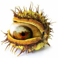 Paweł Papiernik (PawelPapiernik), Fredrikstad, Krakow