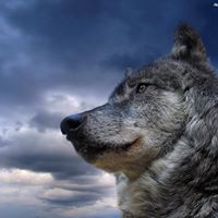 Czarek Jursza (CzarekJursza)