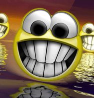 Tomcio Andraszkiewicz (TomcioAndraszkiewicz)