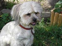 aleksander gralak (olekgralak)