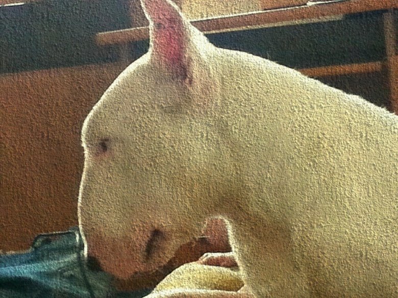 Marcel Michalski (MarcelM)