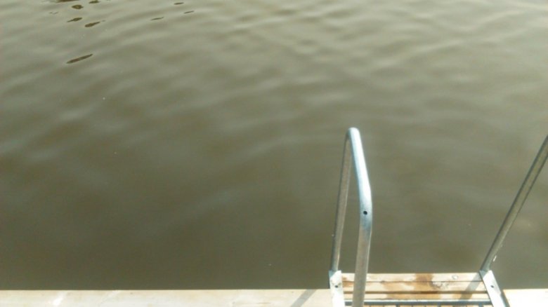 Rafał Albecki (RafalAlbecki)