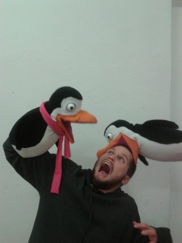 wojtek.meres (wojtek.meres )