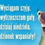 Mariuszek_75
