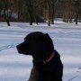 Tomek5891 