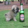 Mariusz W