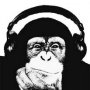 Damian Romanow