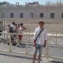 Grzegorz T