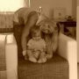 Ania Mg