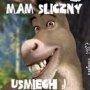 Skurczybyczek Skurczybyczek