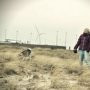 dominika knol
