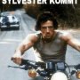 Sylwester Sylwester