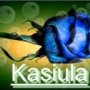 kasia .