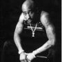 amur shakur